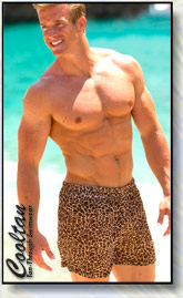 Gold Cheetah