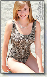 Gold Zebra