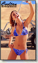 Blue Aztec