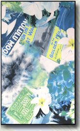 Color 811