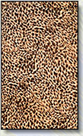 Color 895
